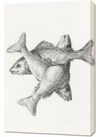 Obraz 60x90cm Trzy Ryby, Jean Bernard Vintage do Salonu