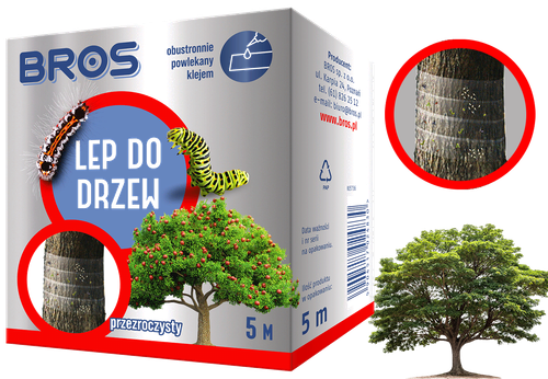 bros - lep do drzew 5mb na Arena.pl