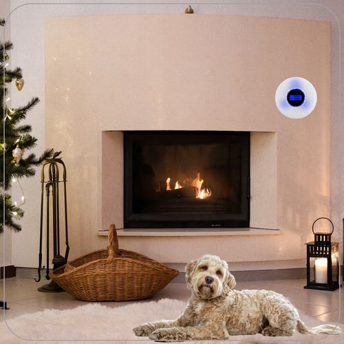 Czujnik Czadu i dymu Tlenku Węgla Detektor Alarm Wykrywacz Czadu na Arena.pl