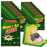 Pułapka Na Myszy Lep Na Myszy Z Klejem XL 20 szt. Myszołapka + Gratis XL