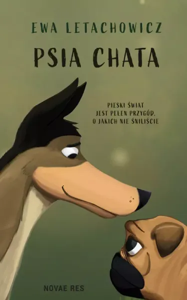Psia chata zdjęcie 1