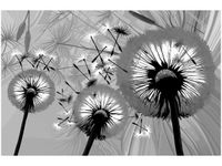 120CM 80CM OBRAZ ŚCIENNY DMUCHAWCE CZERNI BIELI