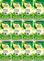 (x12) HERBAPOL Zielnik Melisa 20x2g