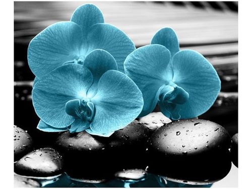 60X50CM STORCZYK KAMIENIE OBRAZ ŚCIAN DREWNIANE na Arena.pl