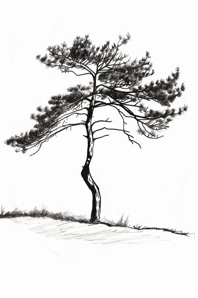 Plakat 40x60cm Samotna Sosna zdjęcie 1