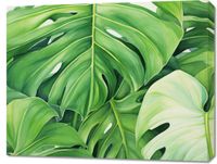 Obraz 90x70cm Tajemnice Liści