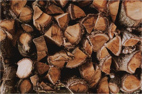 Gaźnik ZAMA MS180 do piły STIHL FILTR PALIWA POWIETRZA MS170 MS180 018 017 na Arena.pl