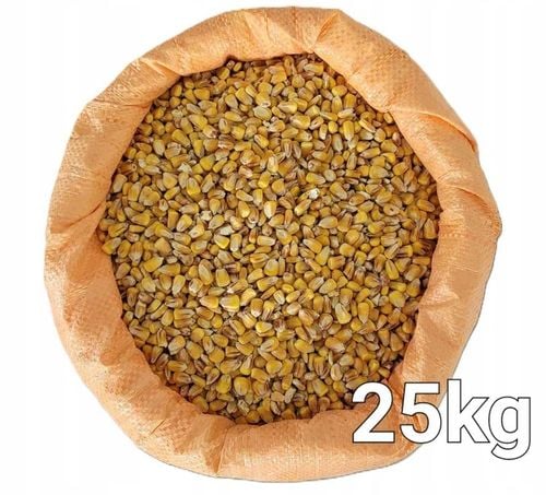 Kukurydza ziarno, pasza, karma 25kg na Arena.pl