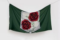 Flaga Attack on Titan - Korpus stacjonarny