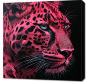 Obraz 70x70cm Szkarłatny Jaguar