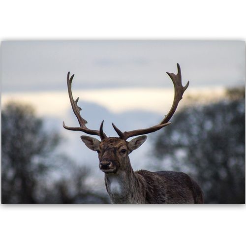 Deco Panel, Jeleń 1 120x80 na Arena.pl
