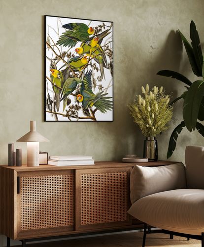 Plakat cyfrowy do wydruku papugi na Arena.pl