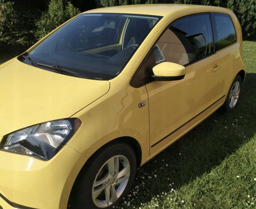 Renault SCENIC II - Listwy CZARNE Boczne Drzwi na Arena.pl