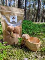 LIONS MANE SOPLÓWKA JEŻOWATA 100g SUSZONA CAŁA