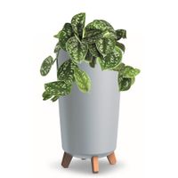 Donica wysoka tuba okrągła 19,5 cm szary mat