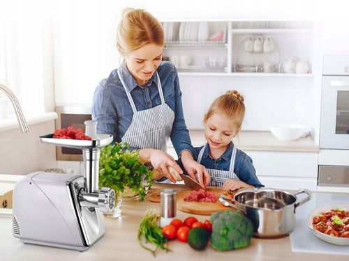 PROFESJONALNA MASZYNKA ELEKTRYCZNA DO MIELENIA MIĘSA Berdsen 550 - 1200W na Arena.pl