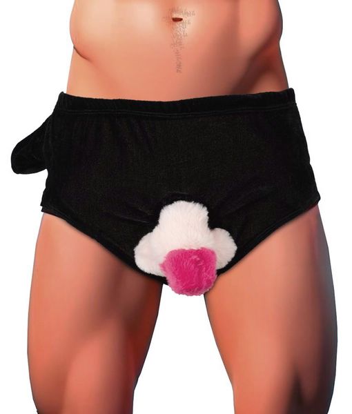 Briefs With Inflatable Penis zdjęcie 2