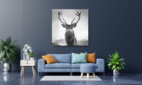 OBRAZ NA PŁÓTNIE 013 Czarno-biały jeleń 40x40cm na Arena.pl