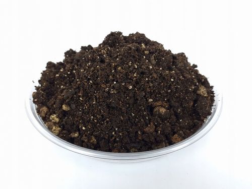 ZIEMIA DO KWIATÓW DONICZKOWYCH monstery palm juk zamiokulkasa na Arena.pl