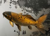 Plakat 18x13cm Spokojna Ryba Koi