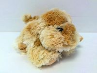 Pies Roddy25 cm 10645 35552.