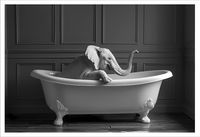 PLAKAT BEZ RAMY do Łazienki WC Toalety śmieszny słoń wanna P2536_40x50