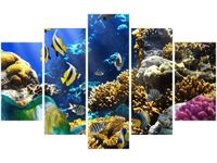 70 100CM OBRAZ 5 ELEM RAFA KORALOWA DRUK PŁÓTNO