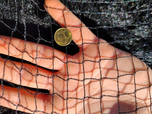 MOCNA SIATKA przeciw PTAKOM na BALKON na Drzewka Wolierę 7,5 x 7,5 m na Arena.pl