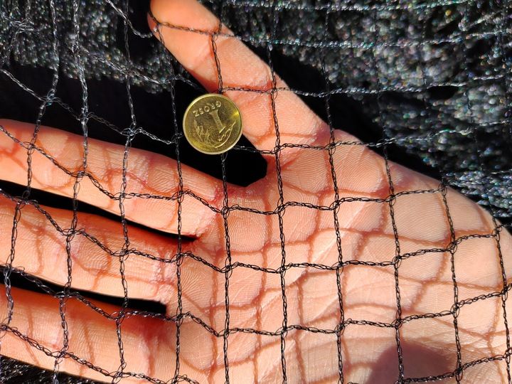 MOCNA SIATKA przeciw PTAKOM na BALKON na Drzewka Wolierę 7,5 x 7,5 m zdjęcie 4