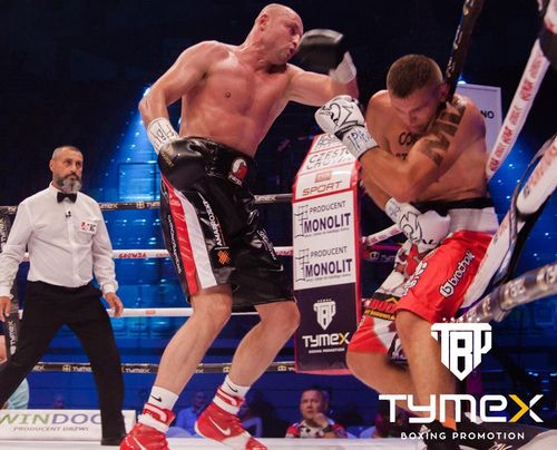 Rękawice bokserskie TIGER BLACK L 10 oz na Arena.pl