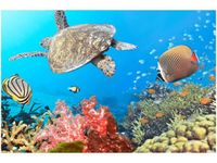 120CM 80CM OBRAZ ŚCIENNY PODWODNA PANORAMA