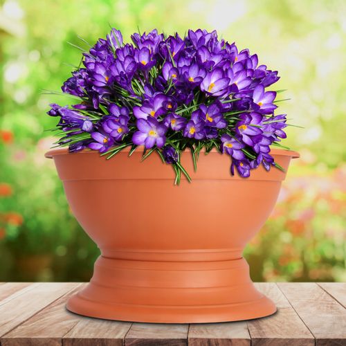 DONICZKA MISA MISKA DO CHRYZANTEM 30 CM TERRA na Arena.pl