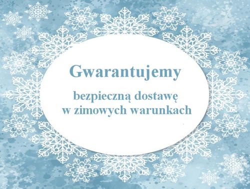 Crassula 'Buddha's Temple' Sukulent GRUBOSZ na Arena.pl