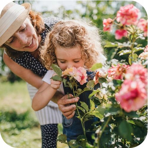 MAGUS 200SC 100ML ŚRODEK NA PRZĘDZIORKI OPRYSK NA PRZĘDZIORKA na Arena.pl