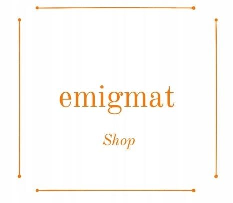 Srebrny Pierścień Sygnet Łańcuch Punk STAL zdjęcie 5