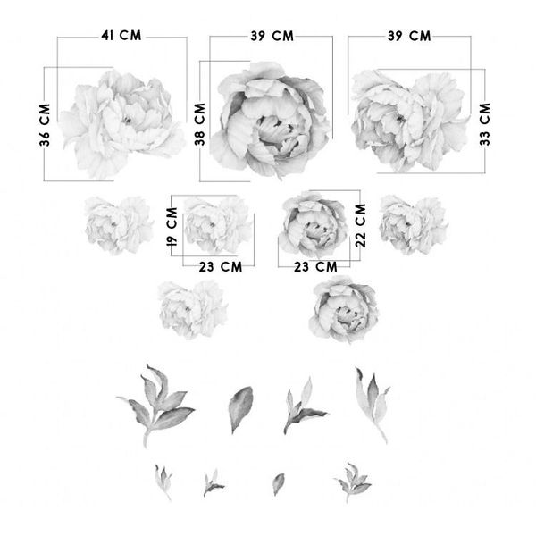 Naklejki Pastelowe Piwonie DK281 zdjęcie 5