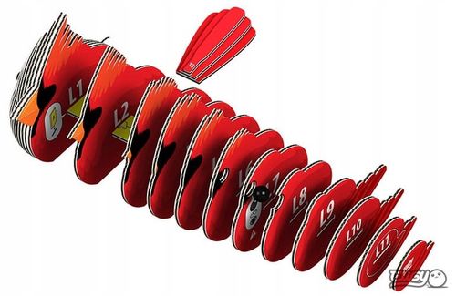 PTAK KARDYNAŁ SZKARŁATNY Układanka 3D EUGY na Arena.pl