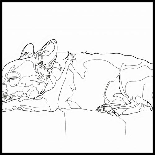 Plakat 100x100cm Śpiący Psiak na Arena.pl