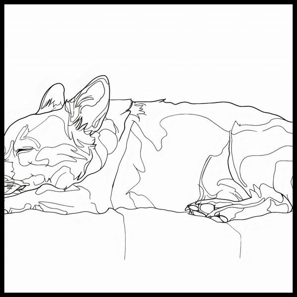 Plakat 100x100cm Śpiący Psiak zdjęcie 2