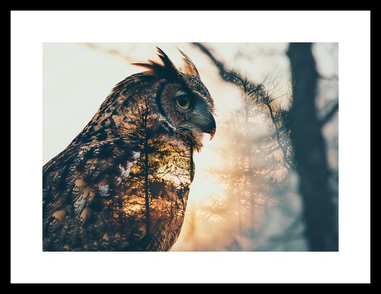 Plakat 29,7x21cm Sowi Duch zdjęcie 3