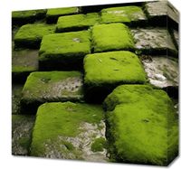 Obraz 40x40cm Zielona Mozaika