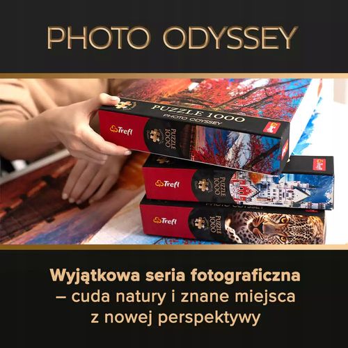 puzzle 1000 premium neuschwanstein castle 10813 na Arena.pl