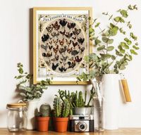 DIATOMIT Z POLSKIEJ KOPALNI ZIEMIA OKRZEMKOWA 20KG