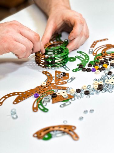 ND01_250175 Maly konstruktor Triceratops 31010 na Arena.pl