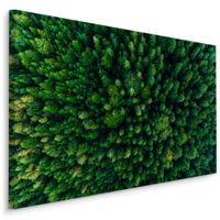 Obraz Canvas Do Sypialni Zielony Las Iglasty Krajobraz Natura 90cm x 60cm