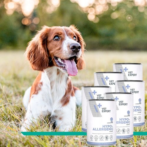 ZESTAW VET EXPERT HYPOALLERGENIC mokra karma weterynaryjna dla psa 6x400g na Arena.pl