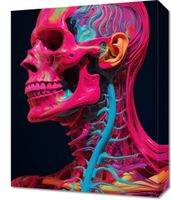 Obraz 40x50cm Anatomia Koloru