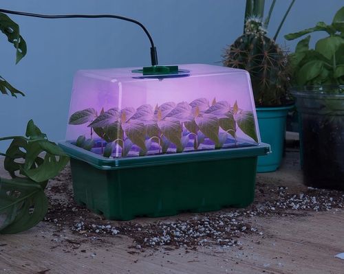 PROPAGATOR ELEKTRYCZNY ZESTAW 5 MINISZKALRNI OŚWIETLENIE LED PANEL WZROSTU na Arena.pl