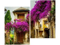 product-compare-58655415