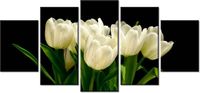 70CM 150CM OBRAZ 5 ELEM BIAŁE TULIPANY MARK FREETH ŚCIENNY
